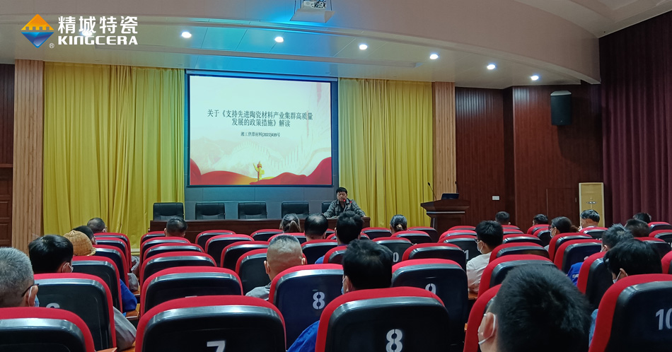 尊龙人生就是博首页组织学习《支持先进陶瓷质料工业集群高质量开展的政策步伐》