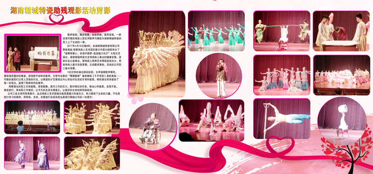湖南尊龙人生就是博首页赞助燕赵·恒爱残疾人艺术团圆满演出